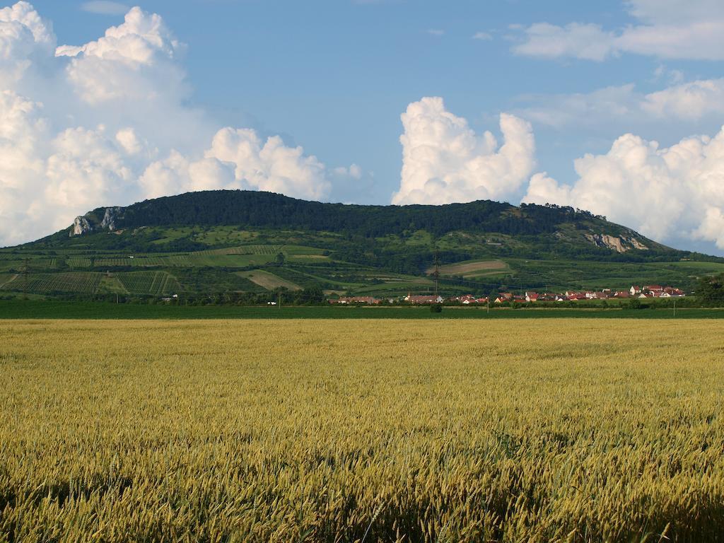 Dolní Dunajovice Penzion Kratochvil מראה חיצוני תמונה