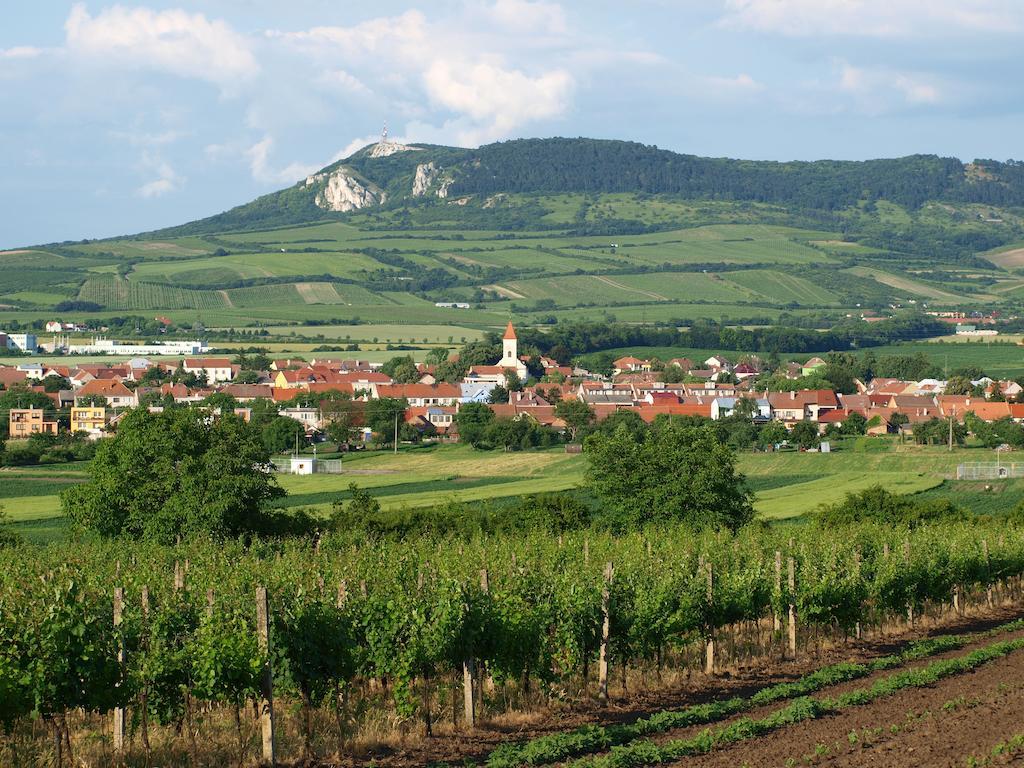 Dolní Dunajovice Penzion Kratochvil מראה חיצוני תמונה